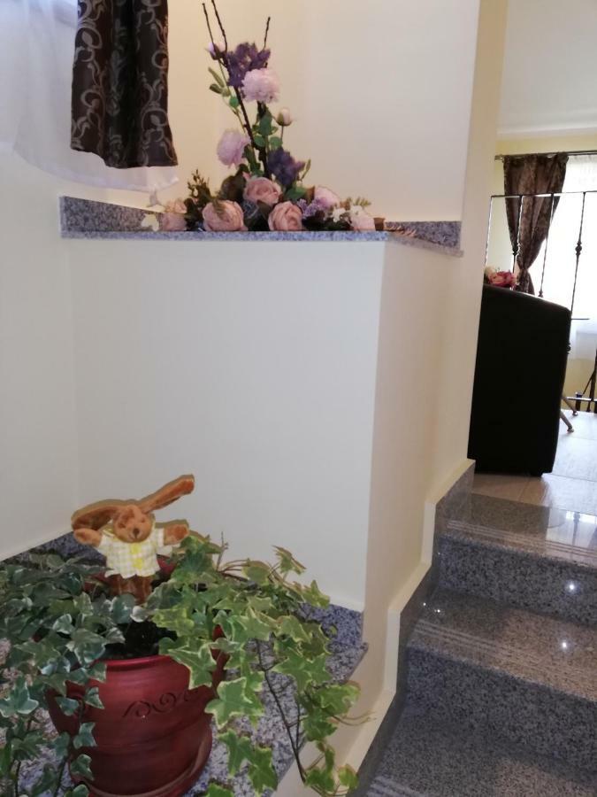 Hotel Casa Daomi Deva Zewnętrze zdjęcie
